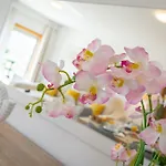 Betty's House * 波尔蒂芒