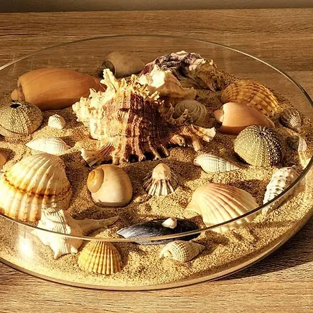 Betty's House Apartment *