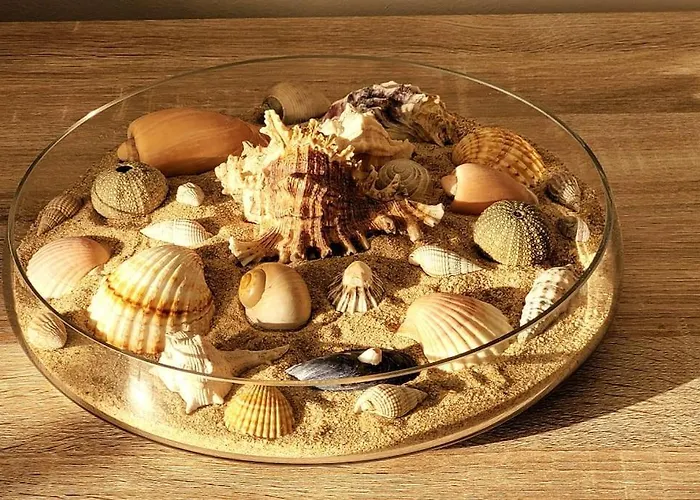 Betty's House Apartment *